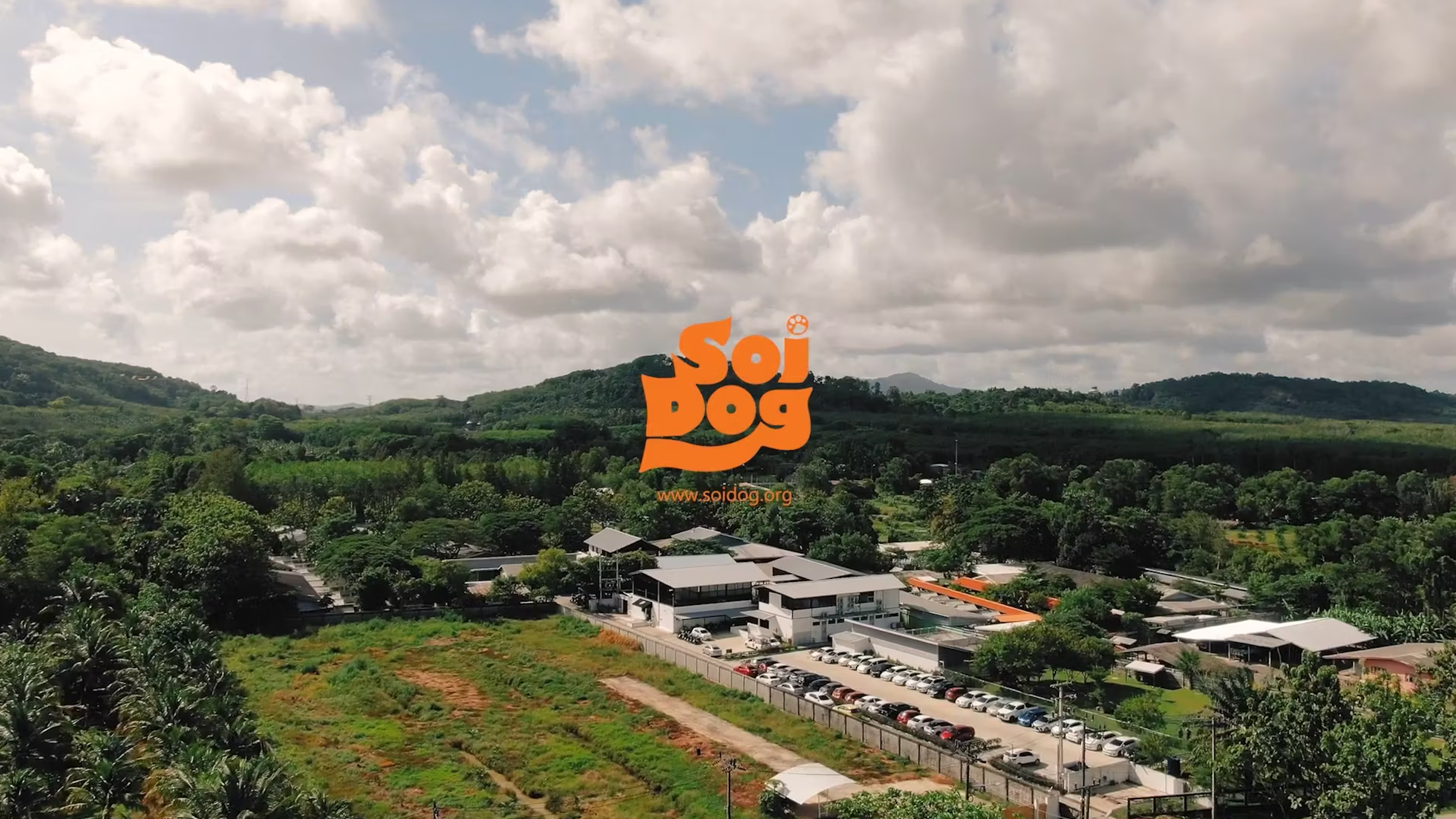 Load video: Watch the entire 20-year story behind Thailand&#39;s Soi Dog Foundation